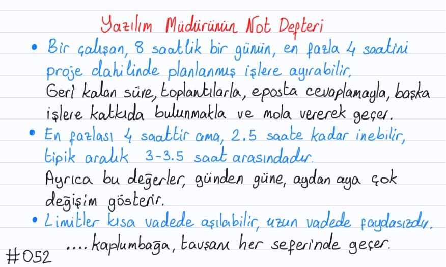 Yaşar Safkan Yazılım Müdürünün Not Defteri